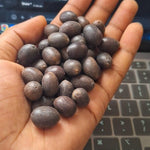 Bonsai Lotus Flower Seeds